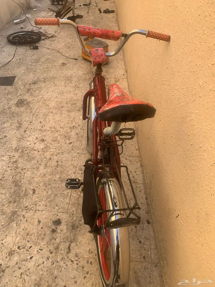 مايجي الا اصامل 2