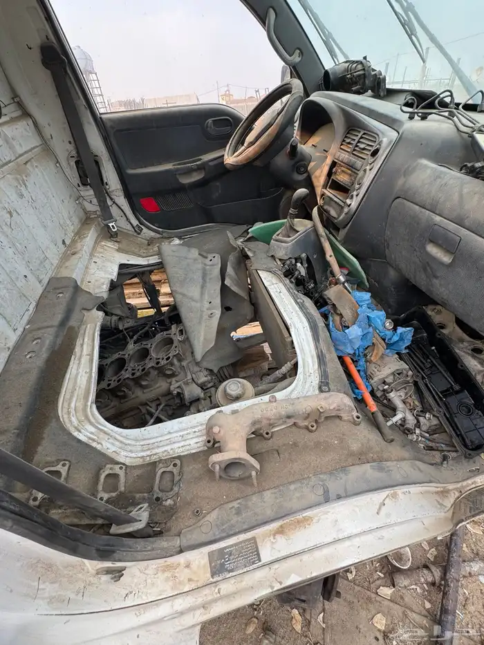 دينا كيا تشليح 0