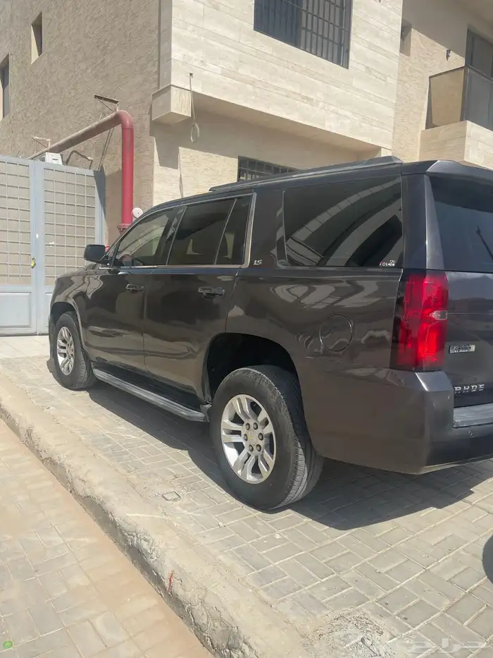 تاهو قصير 2015 1