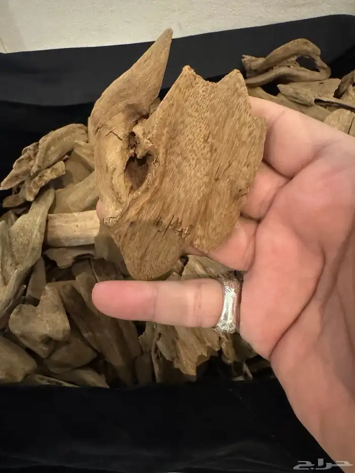 عود مروكي طبيعي تربل سوبر الجزاله في صوره طبيعي 100   100 1