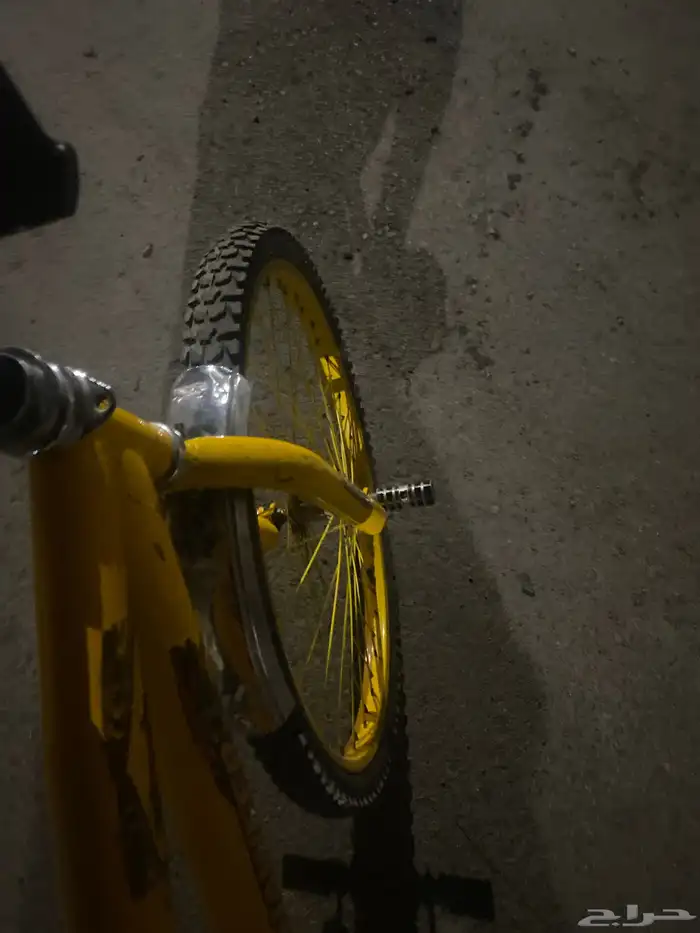 المدينة المنورة 0