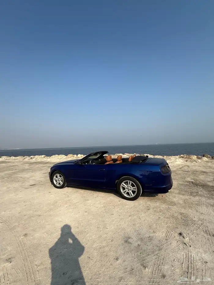 موستنق كشف 3