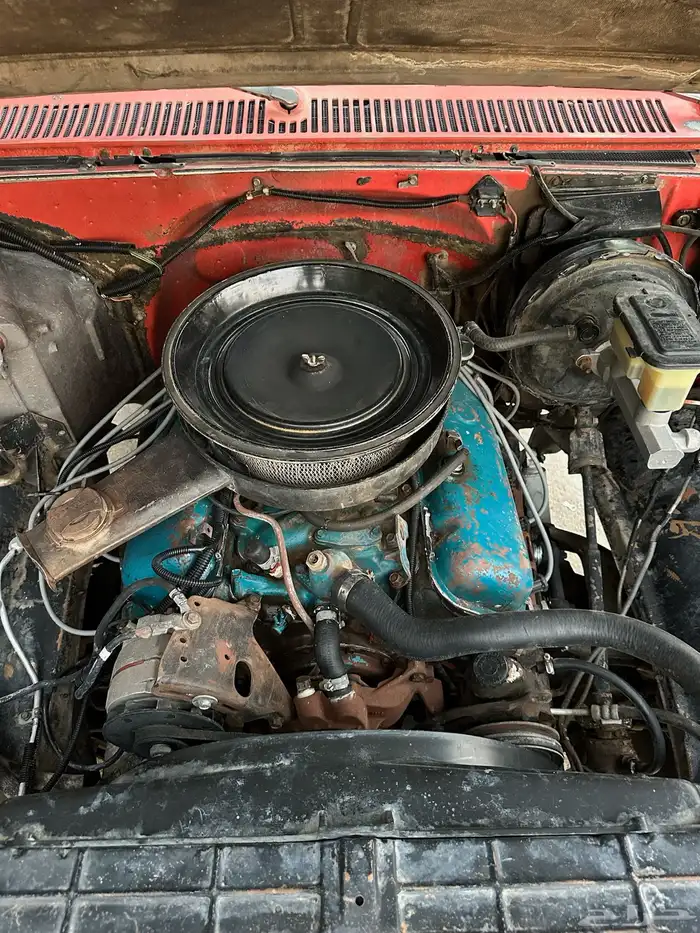 لأهل الصنف ونيت شفر مخزن 454 اساس 38