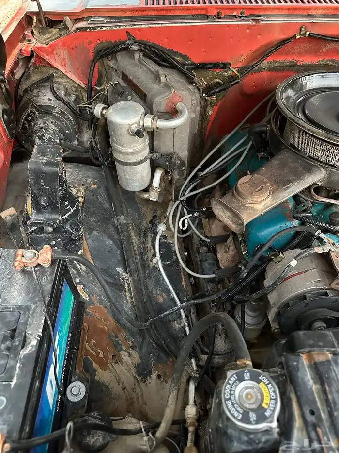 لأهل الصنف ونيت شفر مخزن 454 اساس 39