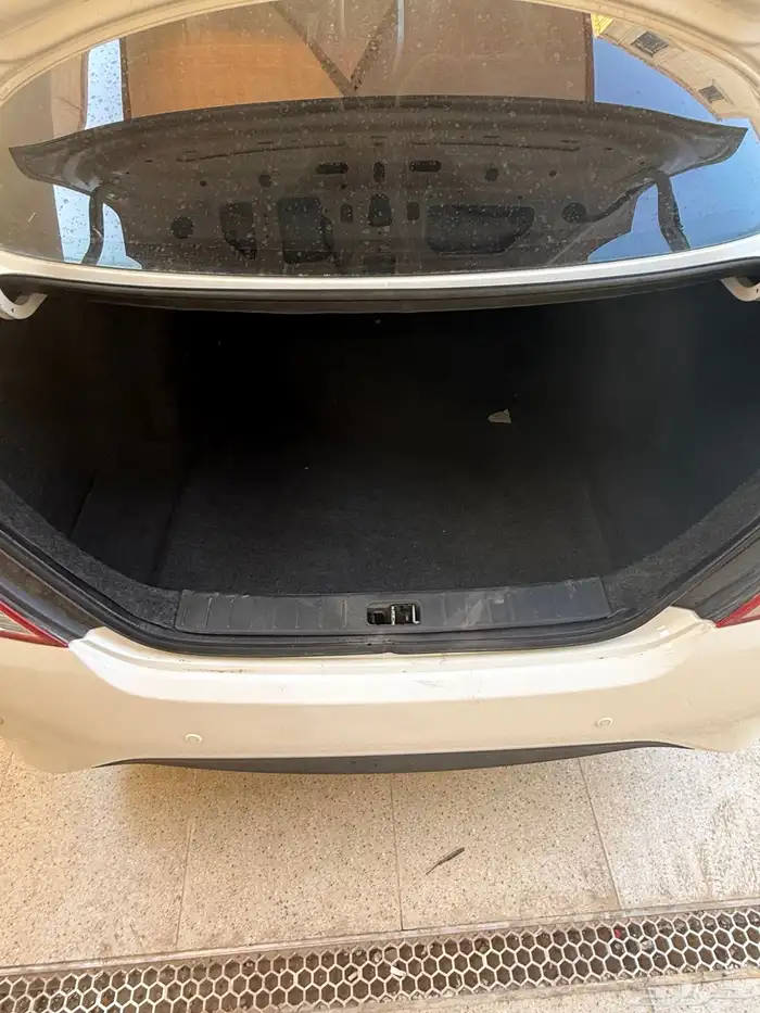 للبيع صني 2020 16