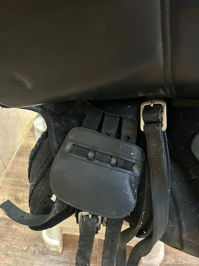 سرج ستيتوس 7