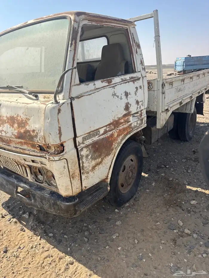 دينا تشليح امورها وسط مسقطه للبيع 0