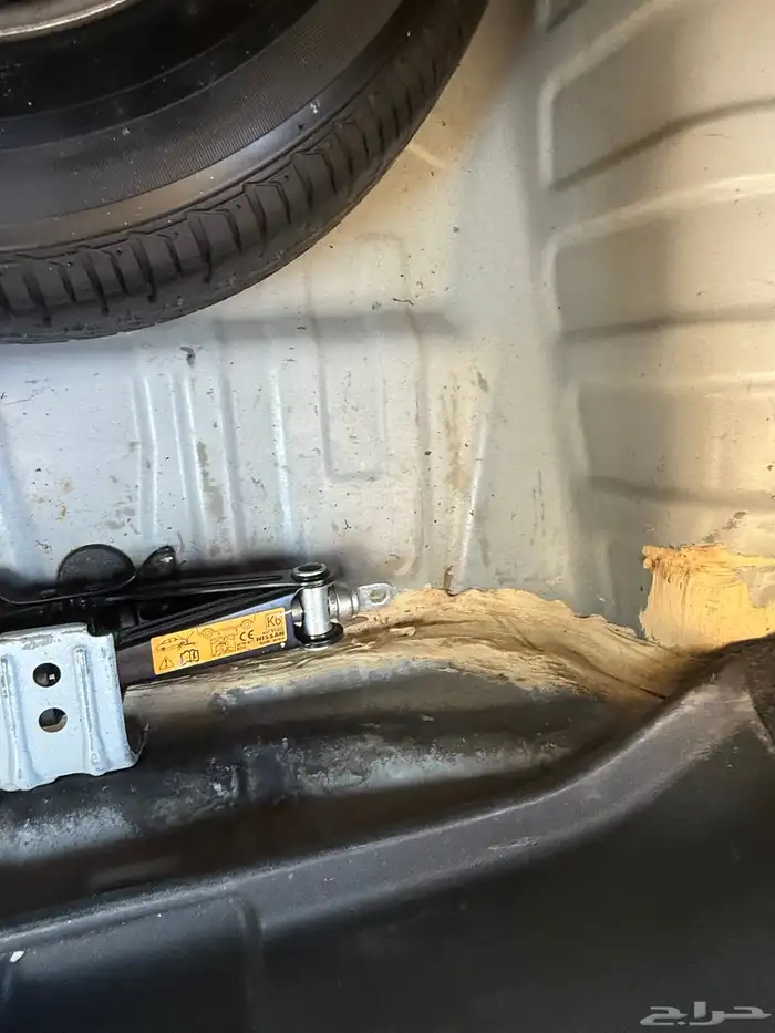 للبيع صني 2020 19