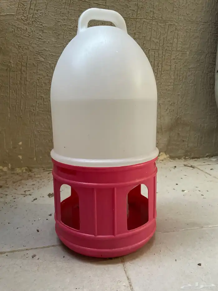 دجاج للبيع 8دجاجات و ديك 3