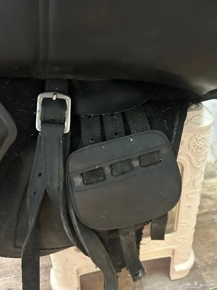 سرج ستيتوس 8