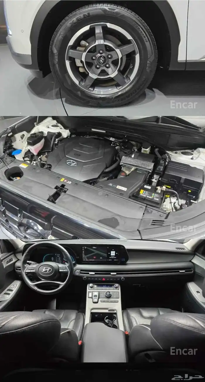 باليسيد Palisade 2023 2