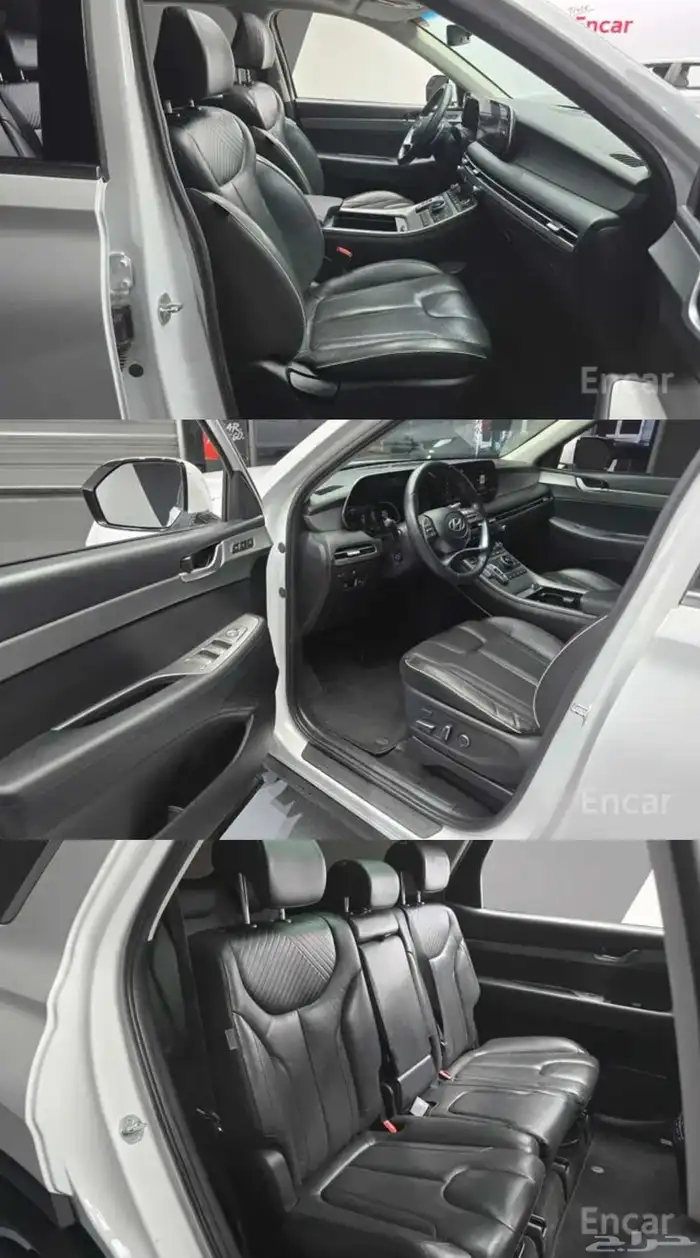 باليسيد Palisade 2023 4