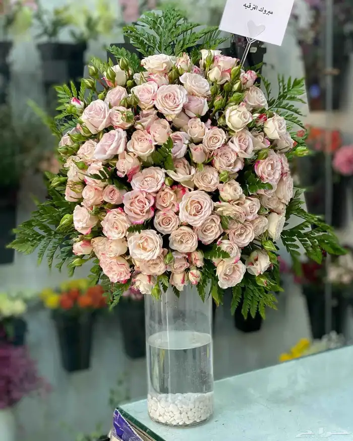 هدايا ورد خميس مشيط ابهاء 0