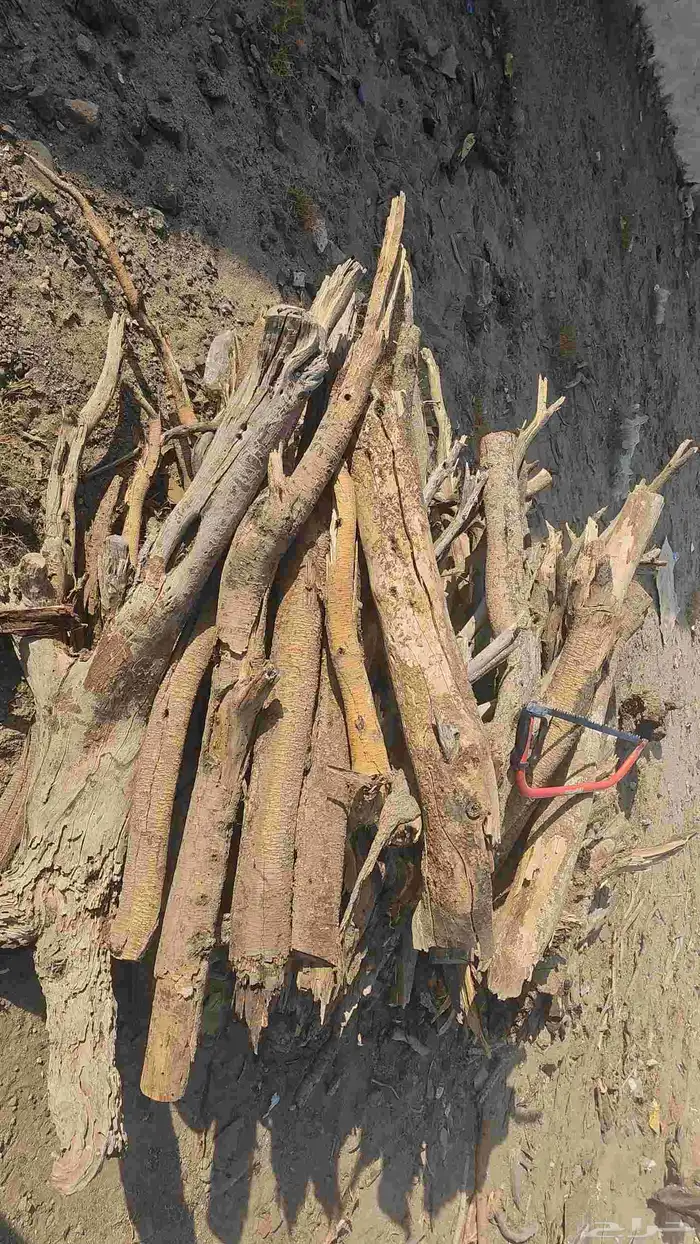 منشار لي البيع 1