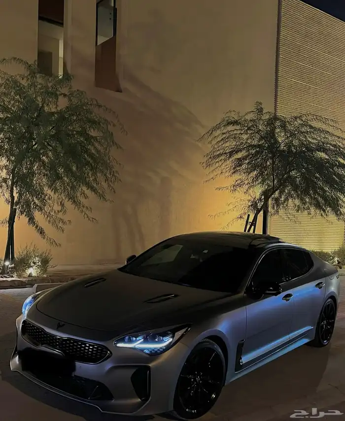 Stinger 2023 Tribute edition 3