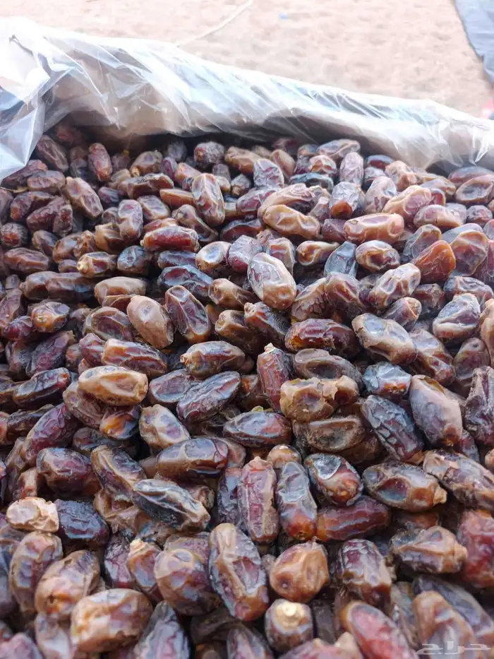 يوحد سلج نسبت المبروم طيبه فيه 4