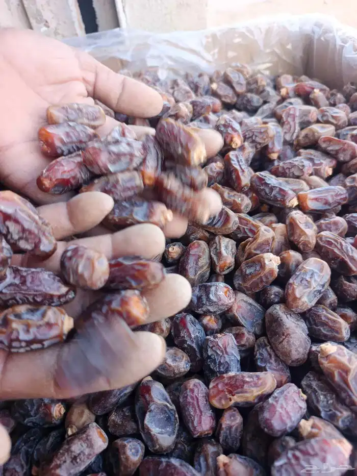 يوحد سلج نسبت المبروم طيبه فيه 1