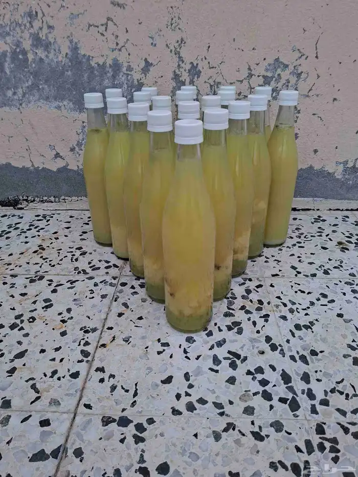 للبيع ليمون حساوي 1