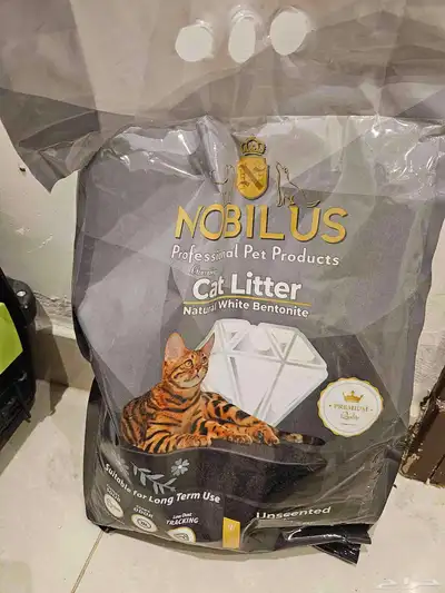 قطتين اناث للبيع index