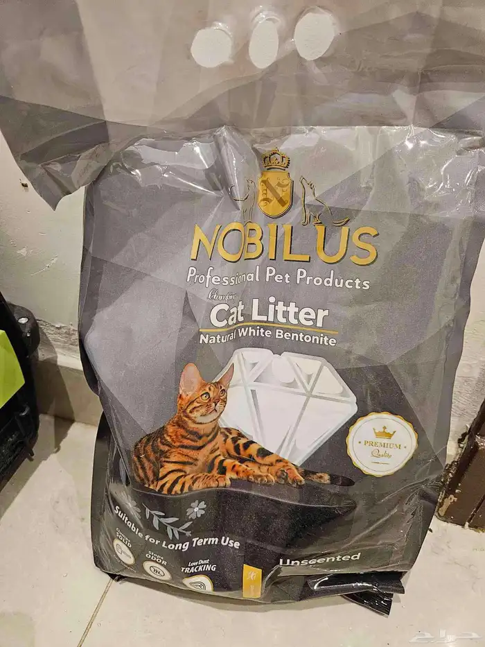 قطتين اناث للبيع 2