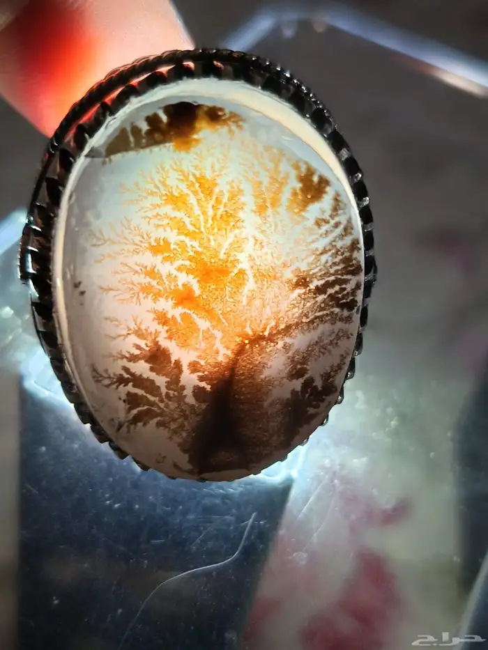 خاتم شجري خام 0