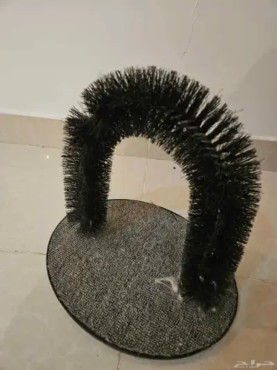 قطتين اناث للبيع index