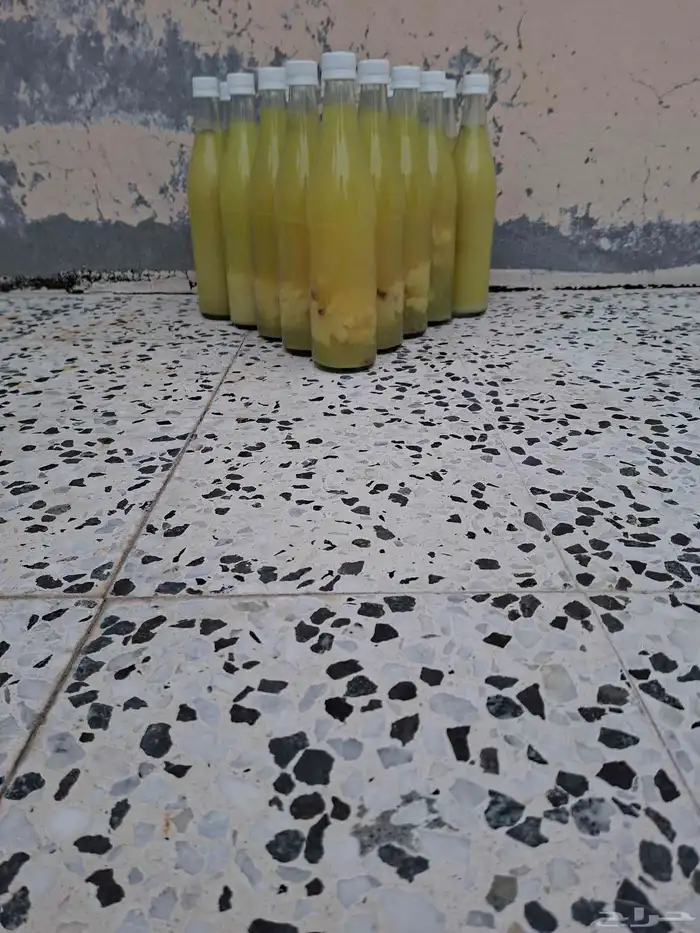 للبيع ليمون حساوي 2