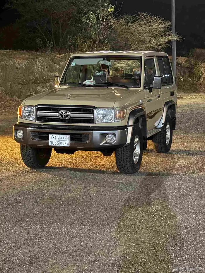 جيب ربع 2009 4