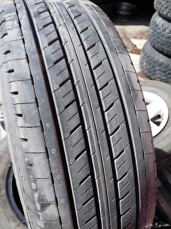 كفرات برجستون منزل خوات الجديد بزرعهن مديل 25اسبوع 25 1