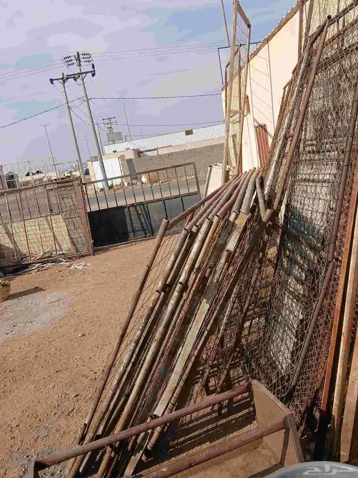 بيعت الله يبارك لراعيها 2