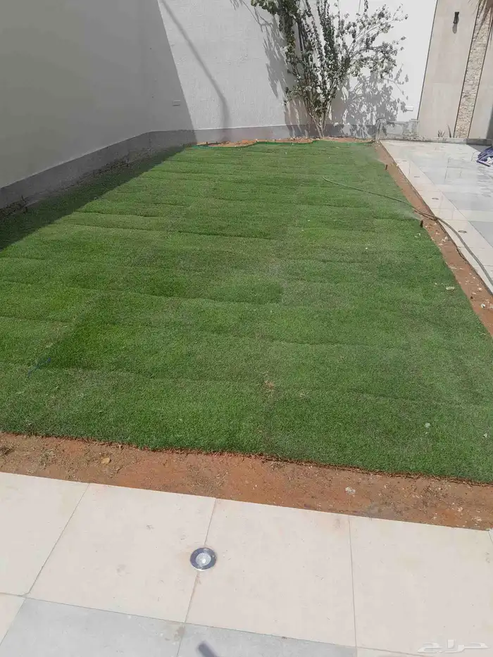 تنسيق حدائق أشجار وزهور 8