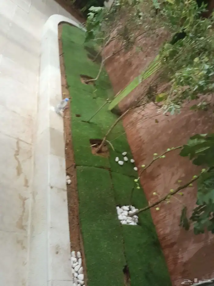 تنسيق حدائق أشجار وزهور 9