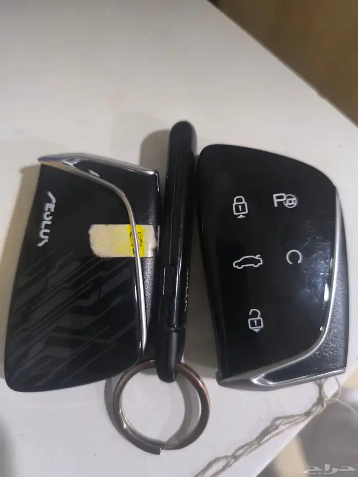 دونغ فانغ ميج 2025 12