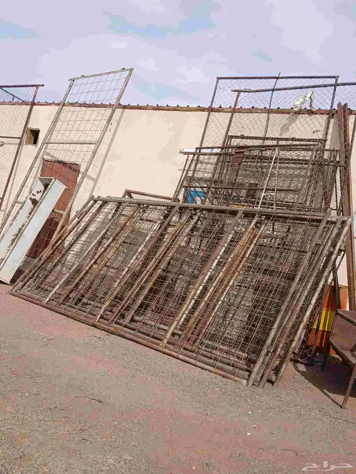 بيعت الله يبارك لراعيها 4