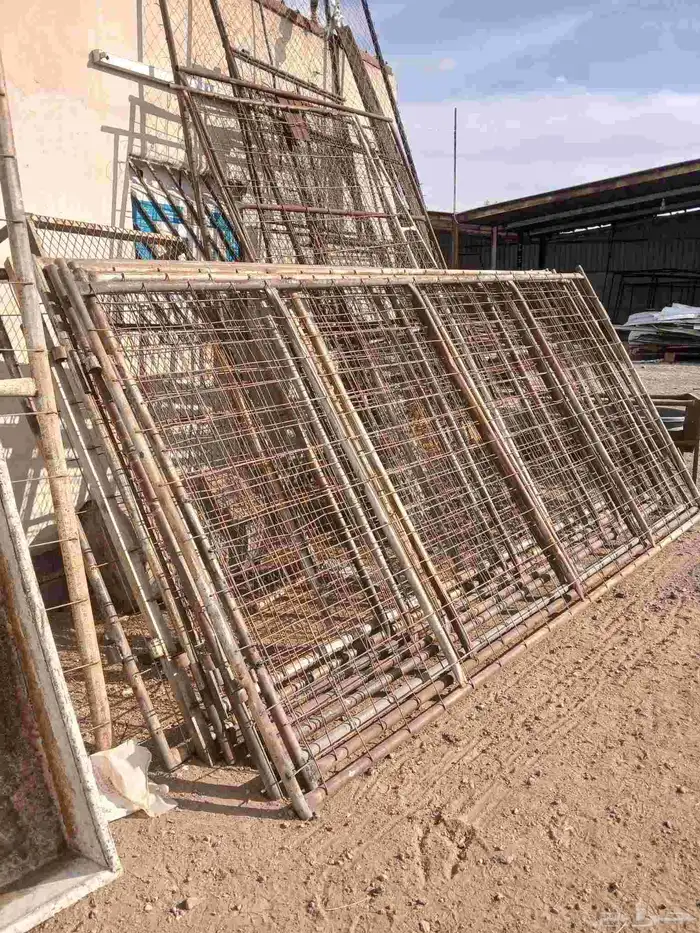 بيعت الله يبارك لراعيها 0