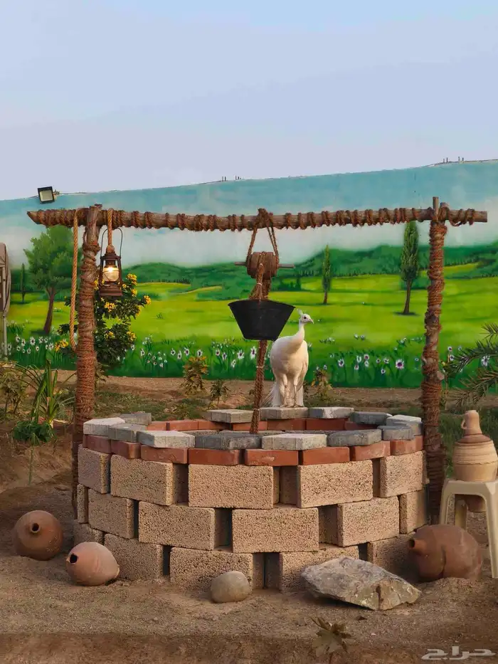 عرض ملك الطيور 5