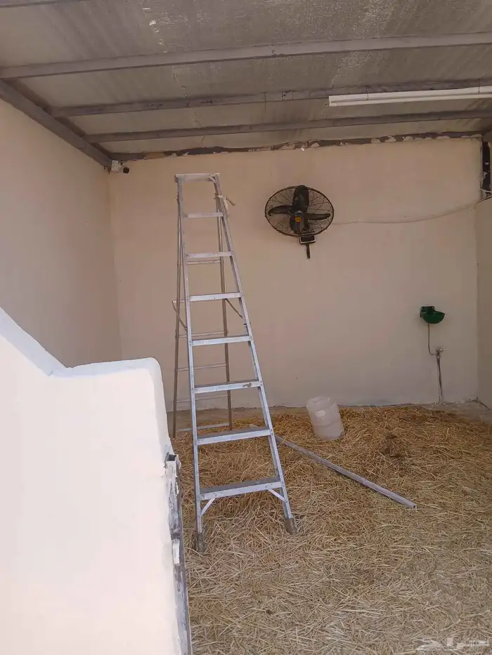 بناء غرف خيل 1