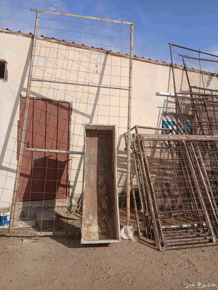 بيعت الله يبارك لراعيها 1