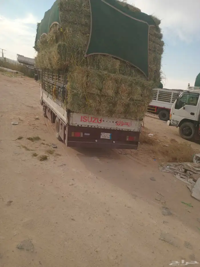 الرودس. طيب. مره. العدد. 250. حبه. والرودس. ناعم. وطيب. ا 0