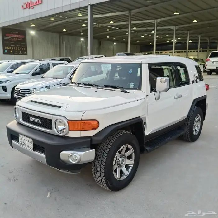 افجي 2022 دفلك 2