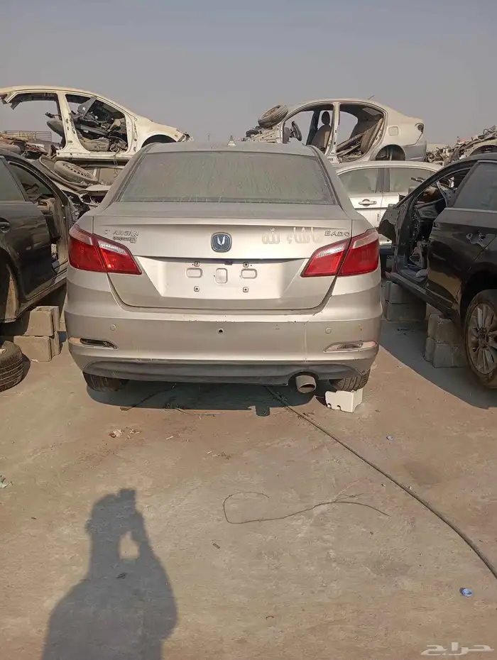 شنجان ايدو 2018 2