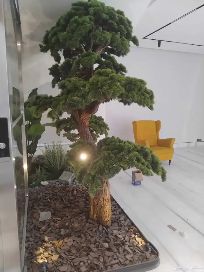 مشتر تنسيق وحطائي 100  شغل عالي جدا 4