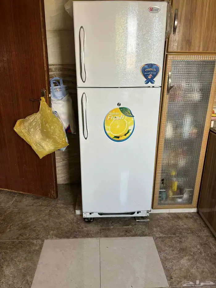 الاغراض للبيع.. ممنوع دخول التجار .. موجودين في أحد رفيده 4