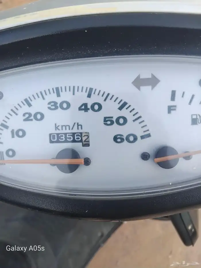 دباب بطه للبيع الدباب أموره طيبه 0