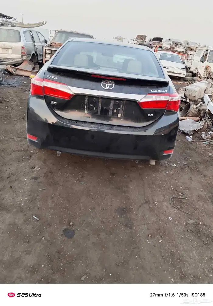 كرال مديل 2015 2