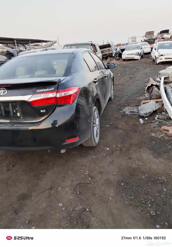 كرال مديل 2015 1