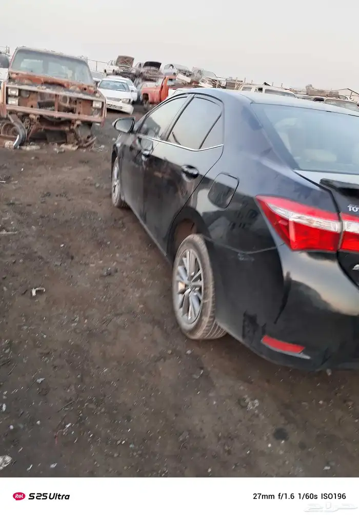 كرال مديل 2015 0