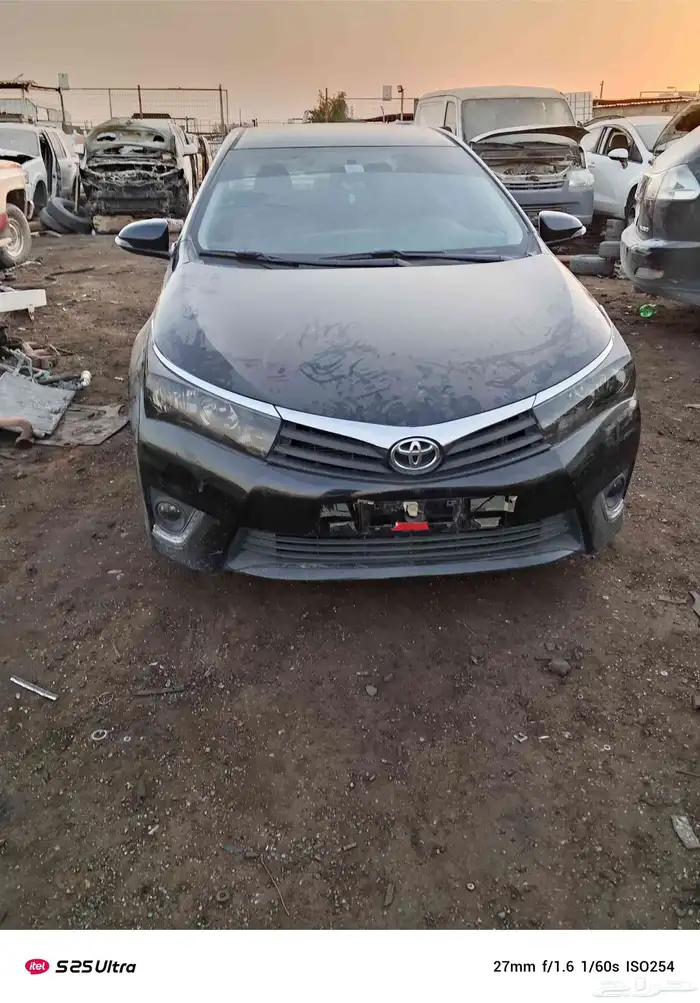 كرال مديل 2015 3