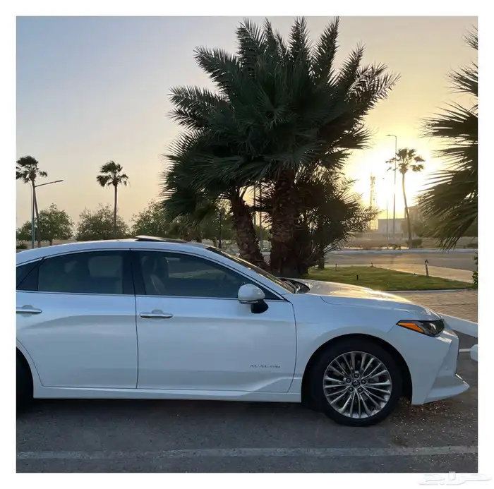 أفالون بريميوم ( مخزن ) 43