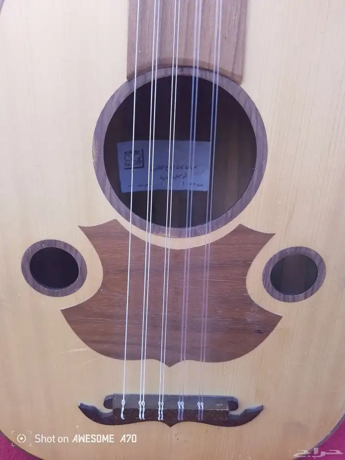 عود البيع جديد  ريشه خفيفه وريشة قوية  شنطه خاصه 3